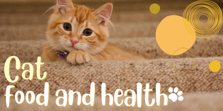Cat food & health